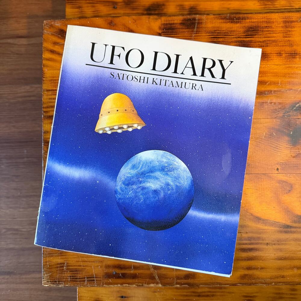 Vintage 1991 UFO Diary Paperback Book (READ)
